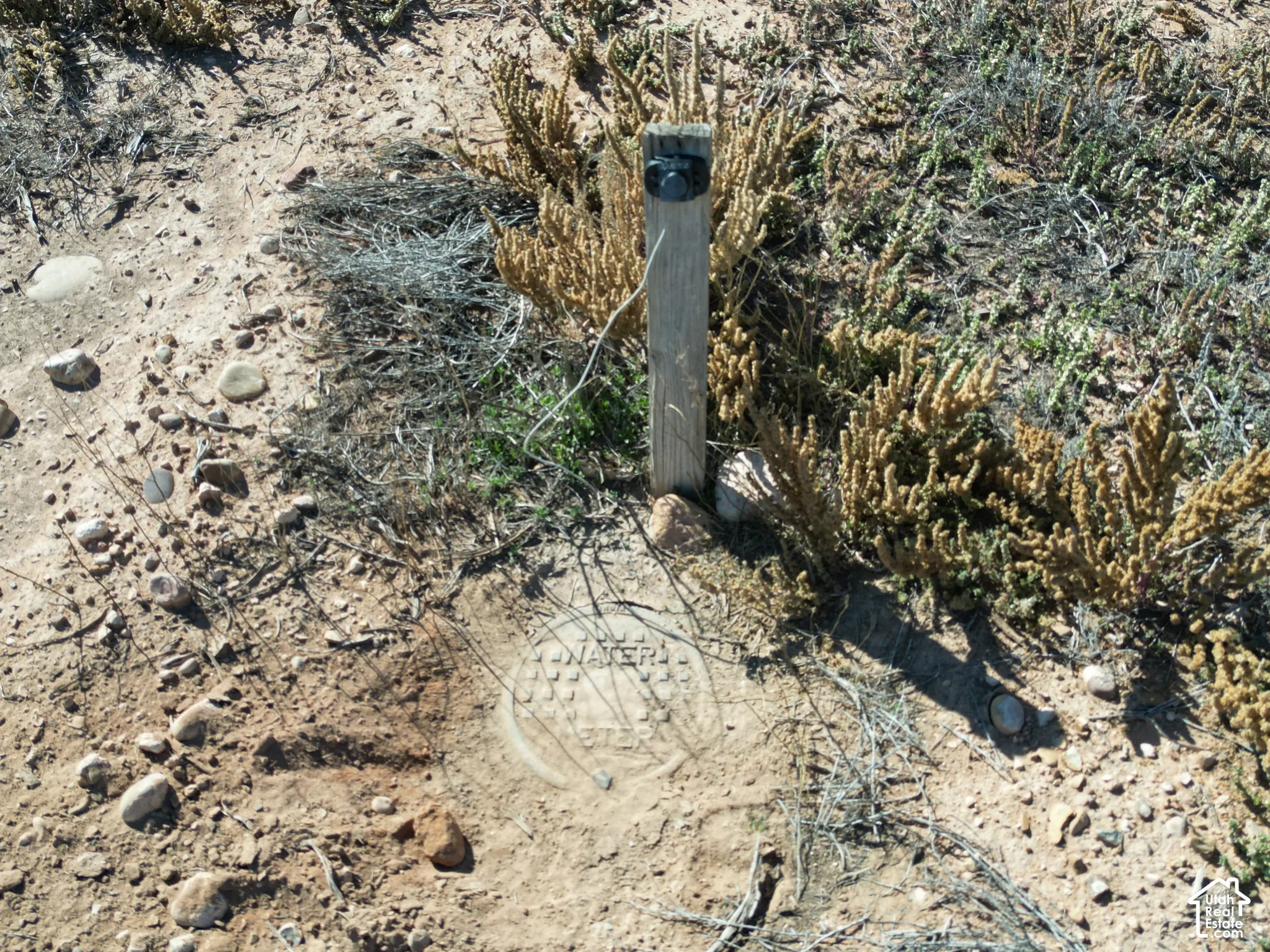 In-ground utility access point and wooden property marker on natural terrain