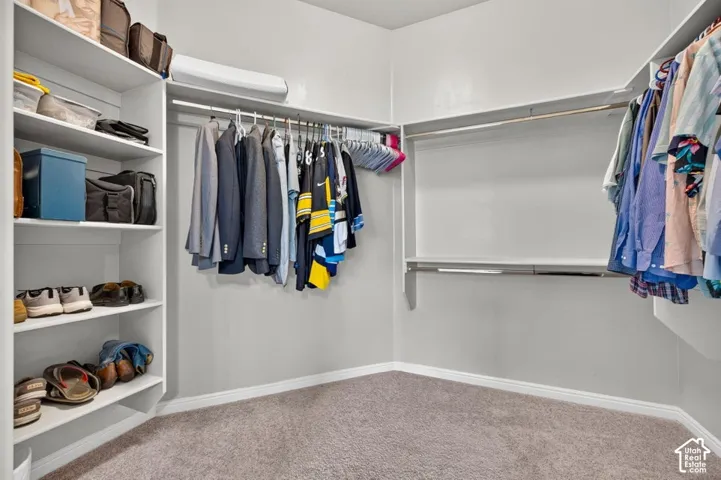 Walk-in closet featuring white built-in shelving, multi-level clothing rods, and wall-to-wall carpeting