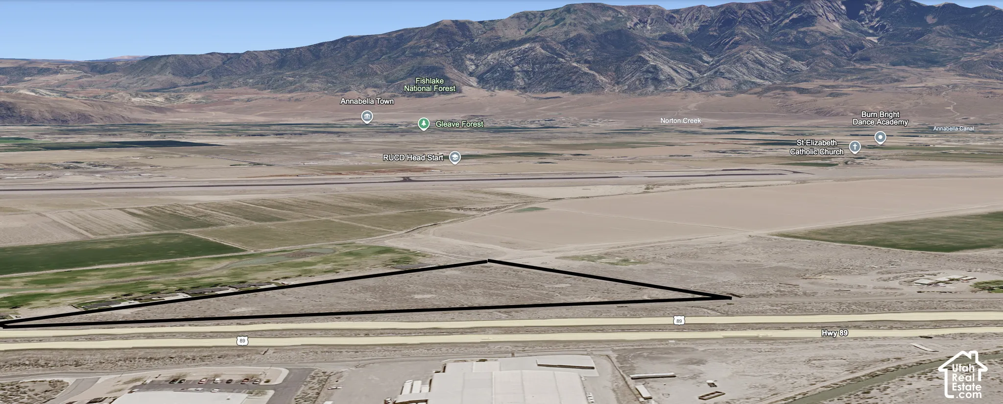 Triangular land parcel featuring direct road frontage and prominent mountain terrain