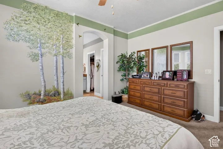 Room featuring an arched entryway, decorative wall mural, ceiling fan with light fixture, and two-tone wall paint