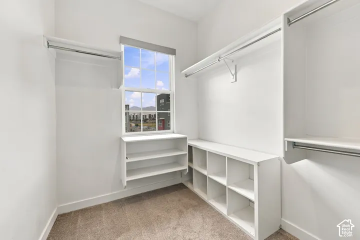 White built-in shelving, white built-in cubbies, white built-in hanging rods, white window trim, and carpet flooring