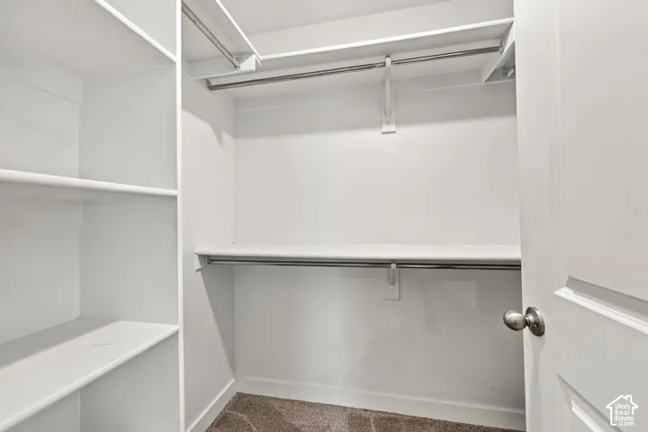 Built-in shelving, multiple hanging rods, and neutral-toned carpeting