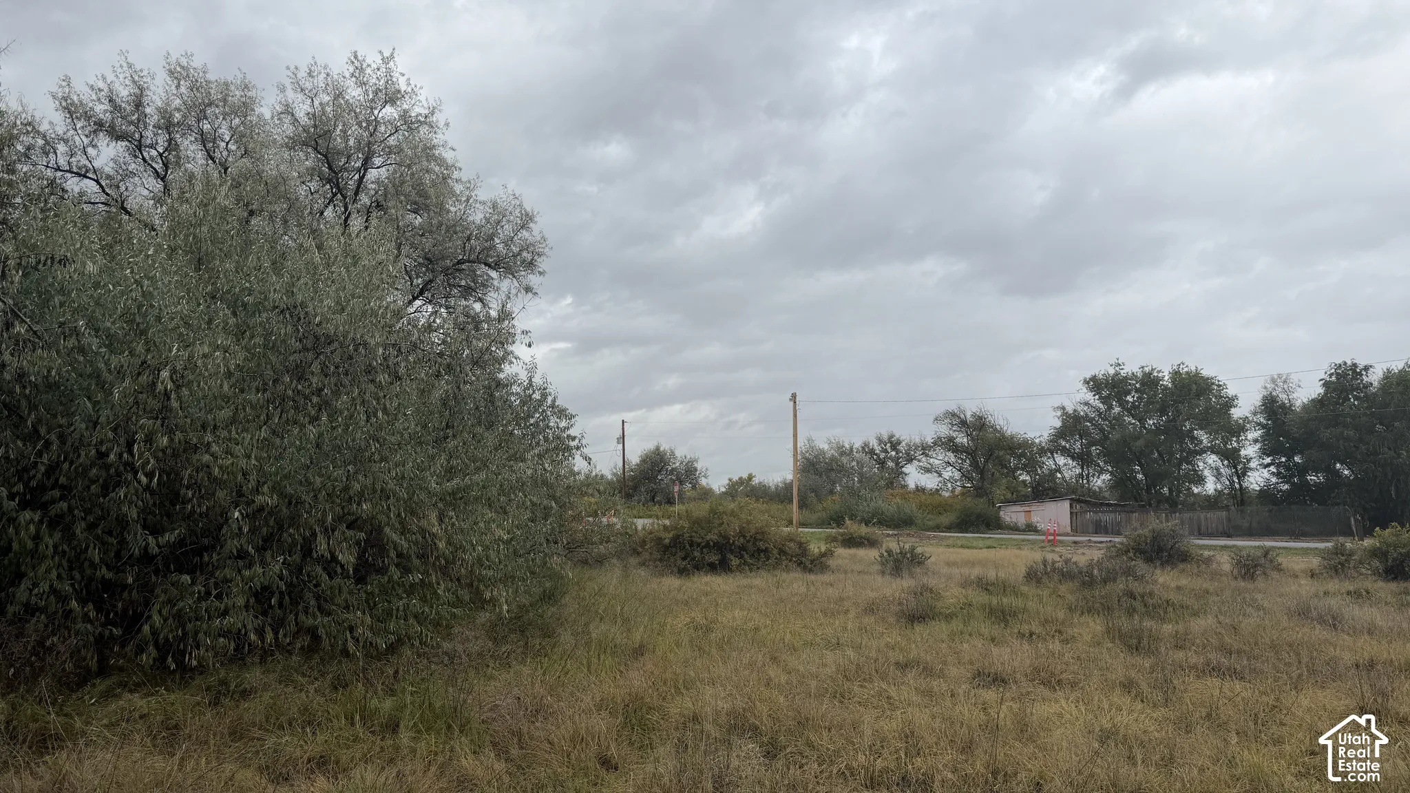 Expansive parcel featuring mature trees, native vegetation, and a level grass-covered landscape