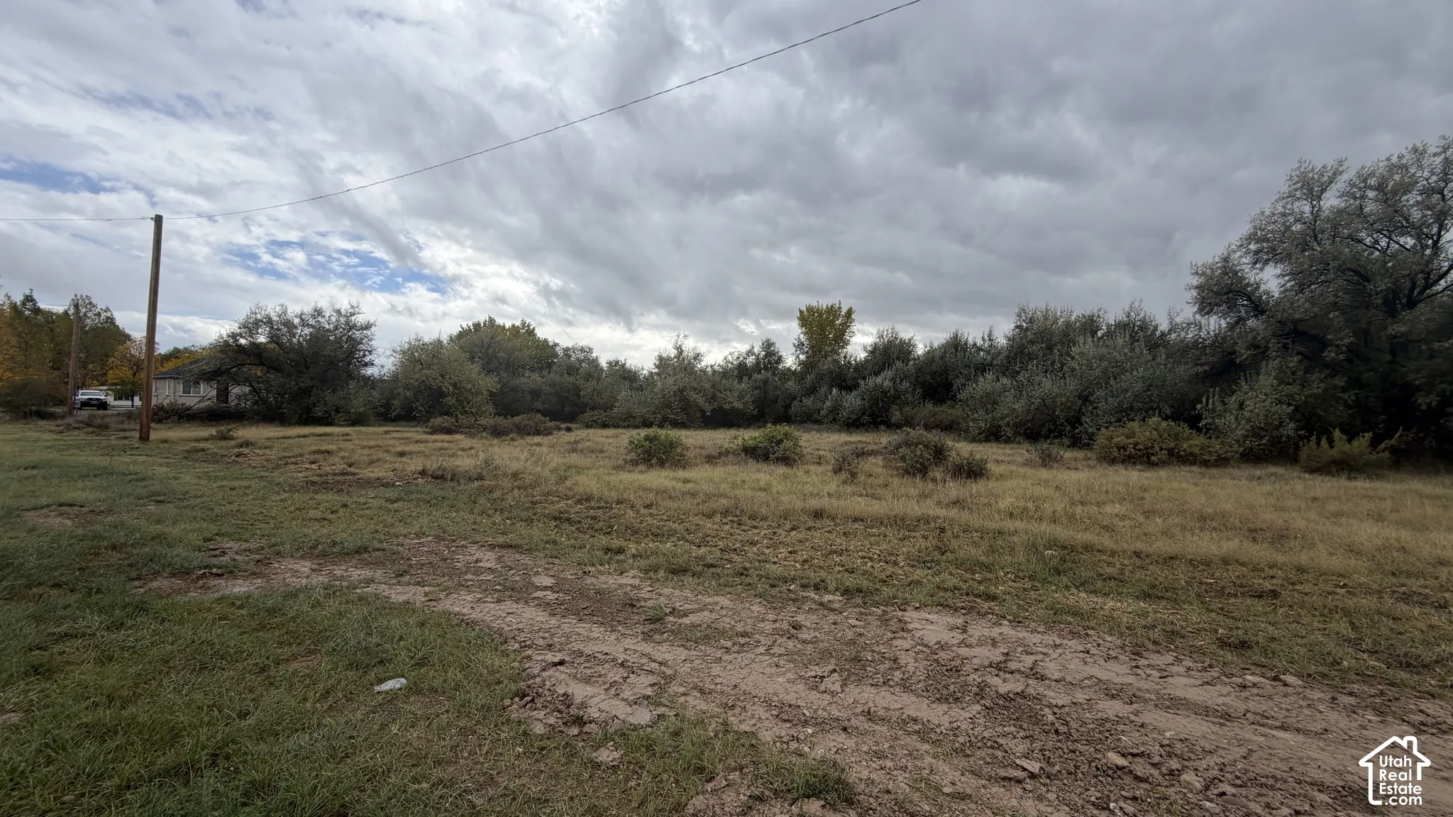 Expansive lot featuring native grasses, mature perimeter trees, and a dirt access path