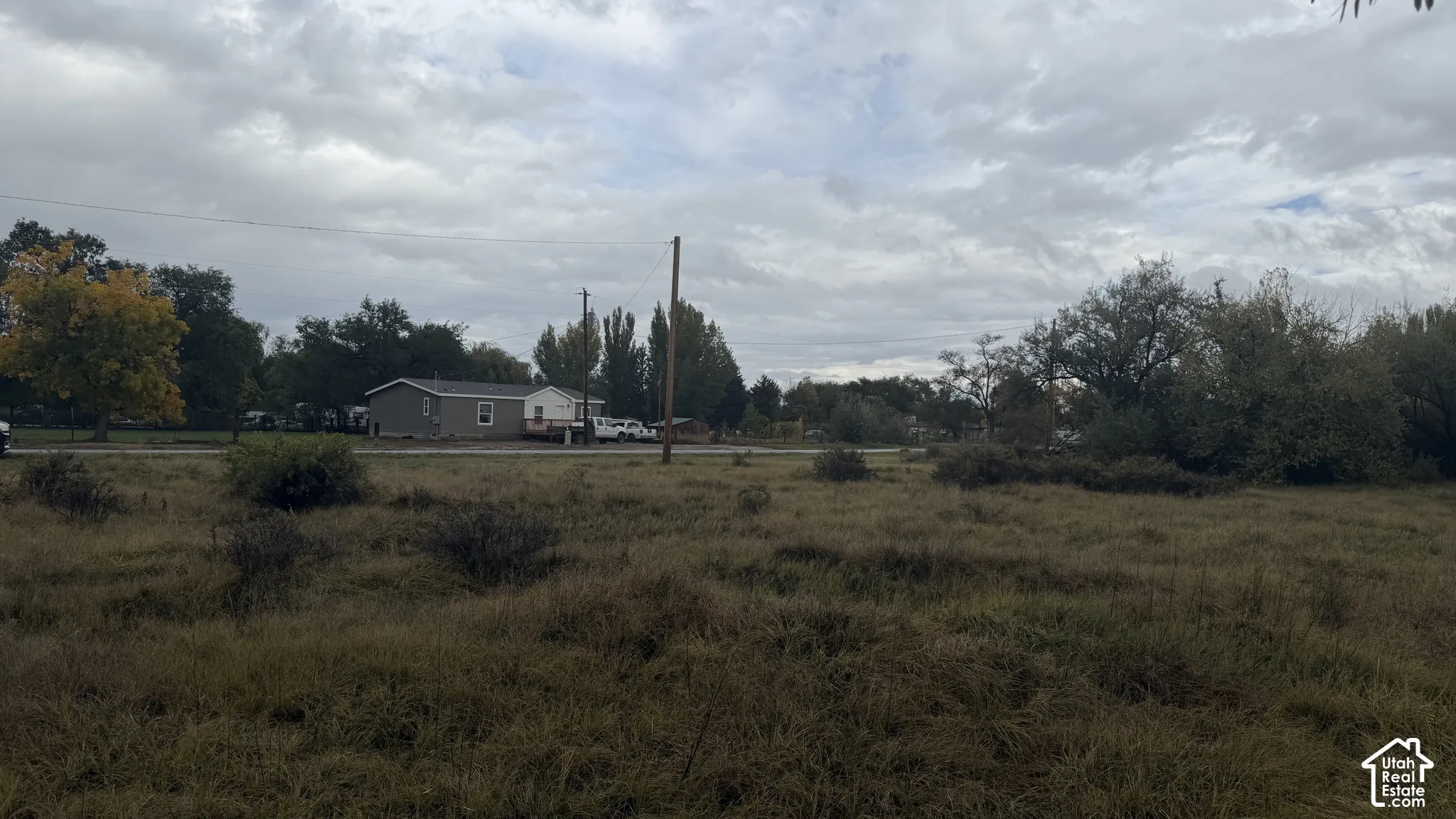 Expansive open lot featuring mature trees and established natural ground cover