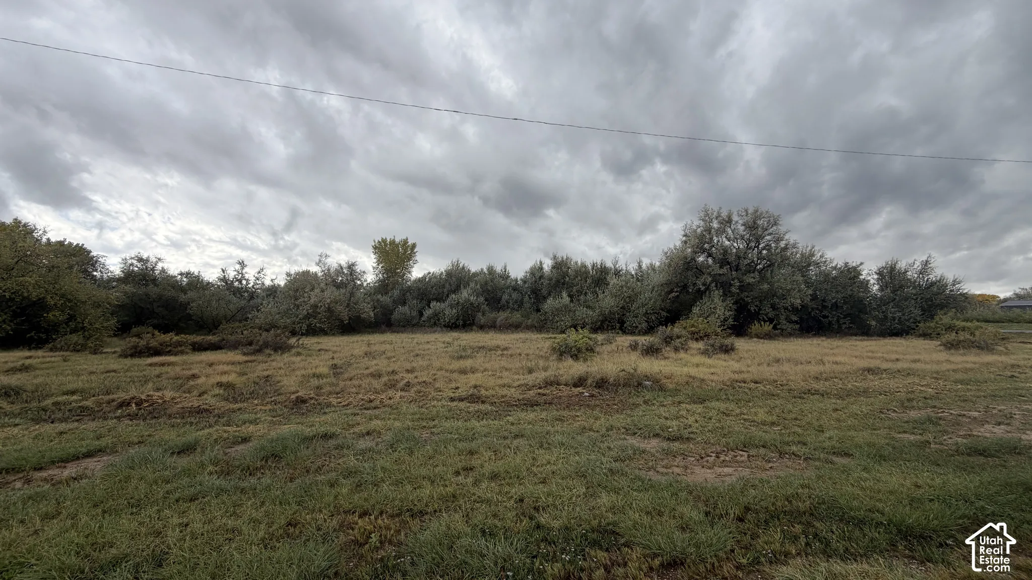 Expansive parcel of land featuring natural topography, open space, and mature trees