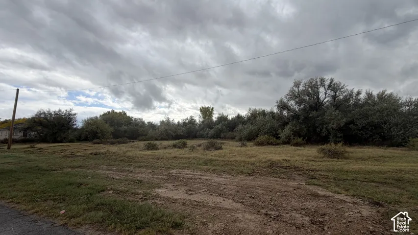 Expansive lot featuring native grasses and mature trees