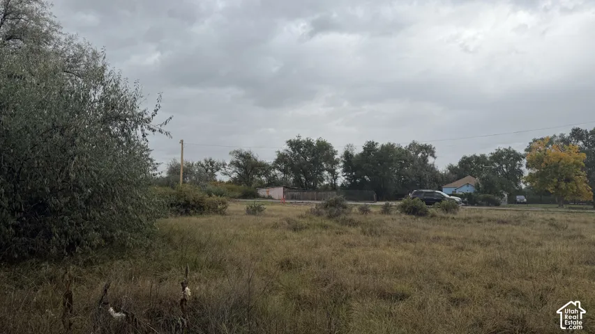 Expansive lot featuring mature trees and indigenous vegetation