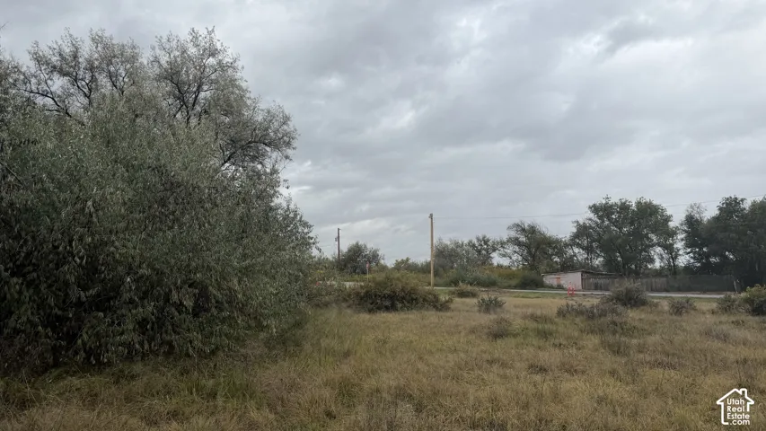 Expansive parcel featuring mature trees, native vegetation, and a level grass-covered landscape