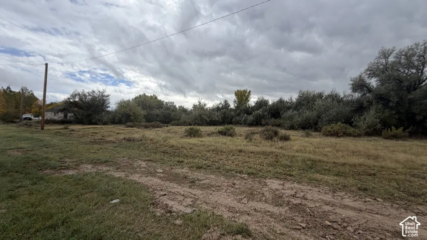 Expansive lot featuring native grasses, mature perimeter trees, and a dirt access path
