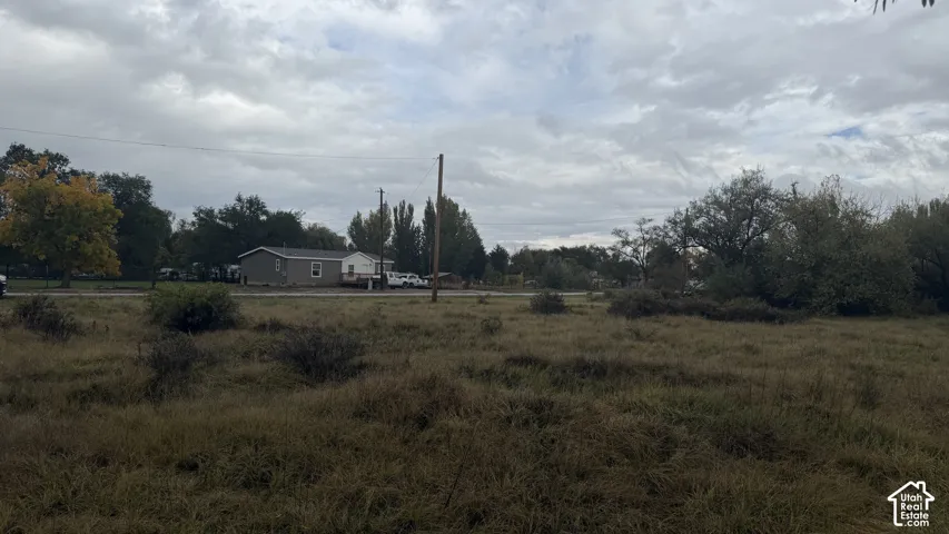 Expansive open lot featuring mature trees and established natural ground cover