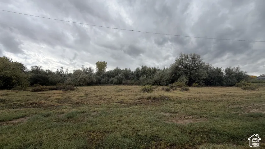 Expansive parcel of land featuring natural topography, open space, and mature trees