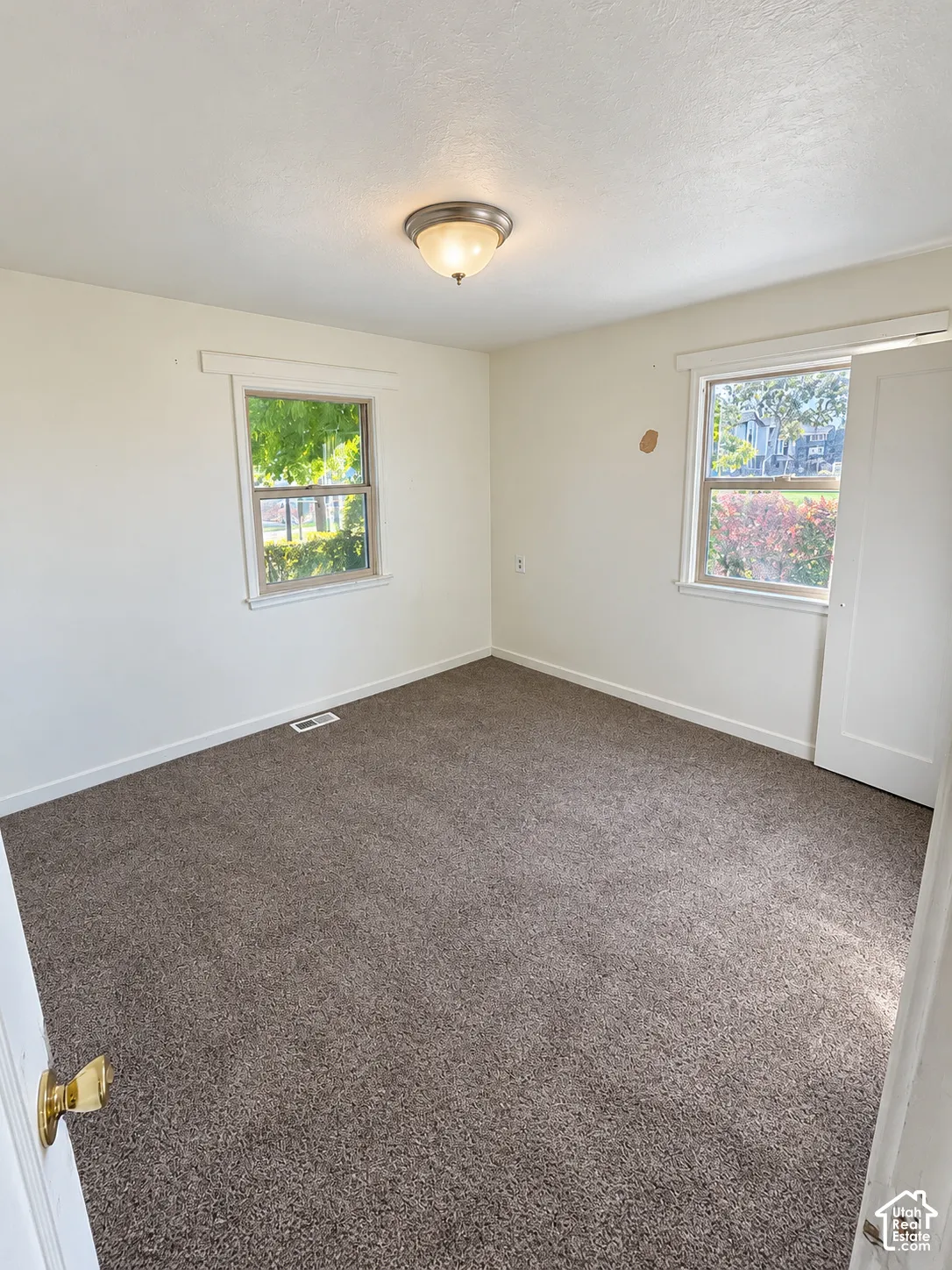Carpeted room featuring two windows, a ceiling-mounted light fixture, and a solid door