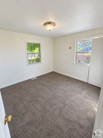 Carpeted room featuring two windows, a ceiling-mounted light fixture, and a solid door