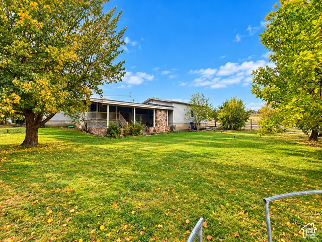 Expansive backyard featuring a large grass lawn, mature trees, a covered porch, and masonry accents