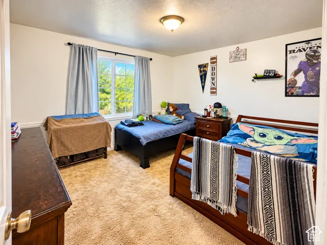 Neutral-toned carpeted flooring, window with natural light, and a flush-mount ceiling light fixture