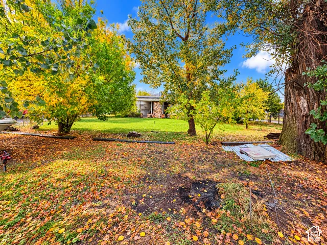 Expansive backyard featuring mature trees and established landscaping