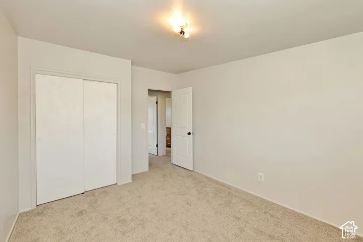 Neutral wall paint, carpet flooring, and a sliding closet door