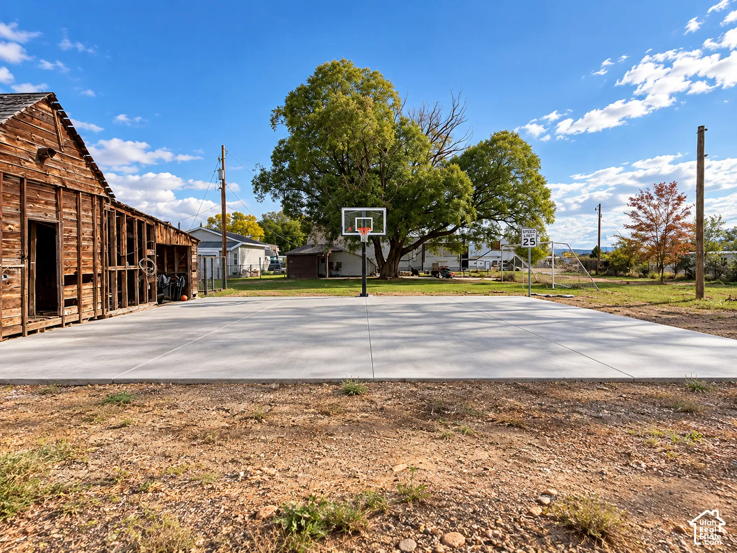 Concrete sports court featuring a basketball hoop and expansive open grounds with mature trees