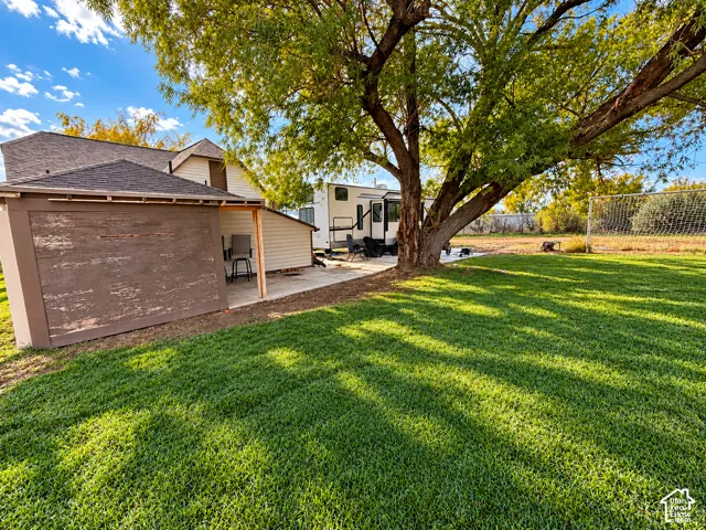 Expansive backyard featuring a mature shade tree, concrete patio, and chain-link fencing