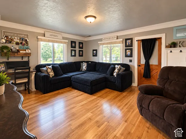 Living area featuring wood-finish flooring, dual windows with decorative molding, and a rustic wood-plank door with X-pattern detailing