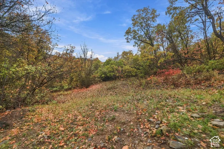 Expansive lot featuring mature deciduous trees, native vegetation, natural stone ground cover, and moderate terrain elevation