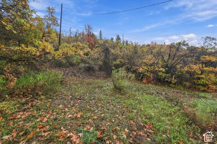 Sloped parcel featuring native vegetation and mature deciduous trees