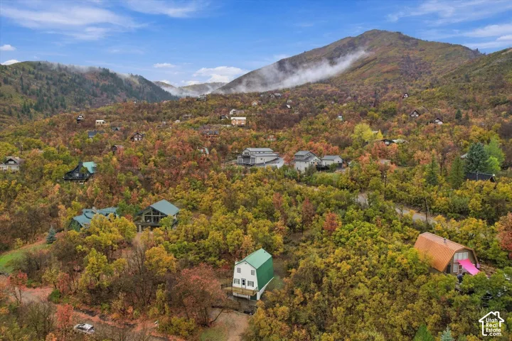 Aerial landscape featuring mountain terrain, dense native vegetation, and surrounding residential properties