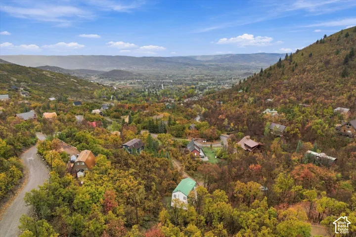 Aerial perspective of a hillside property set within a landscape of mature deciduous trees and native vegetation, featuring paved roadway access and a mountainous backdrop