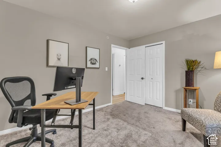 Neutral-toned interior space featuring carpeted flooring, a six-panel closet door, and a flush-mount ceiling light fixture