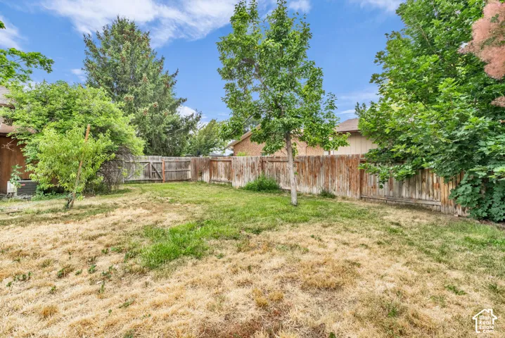 Fenced backyard featuring mature trees and established landscaping