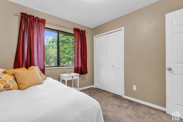 Carpeted flooring, dual-panel closet doors, and single-pane window with exterior greenery