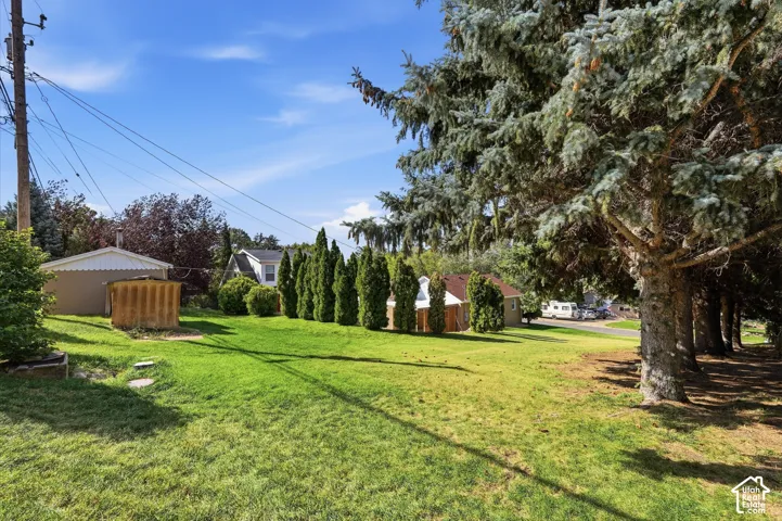 Expansive lawn area with mature evergreen trees, dense shrubbery, and a detached structure