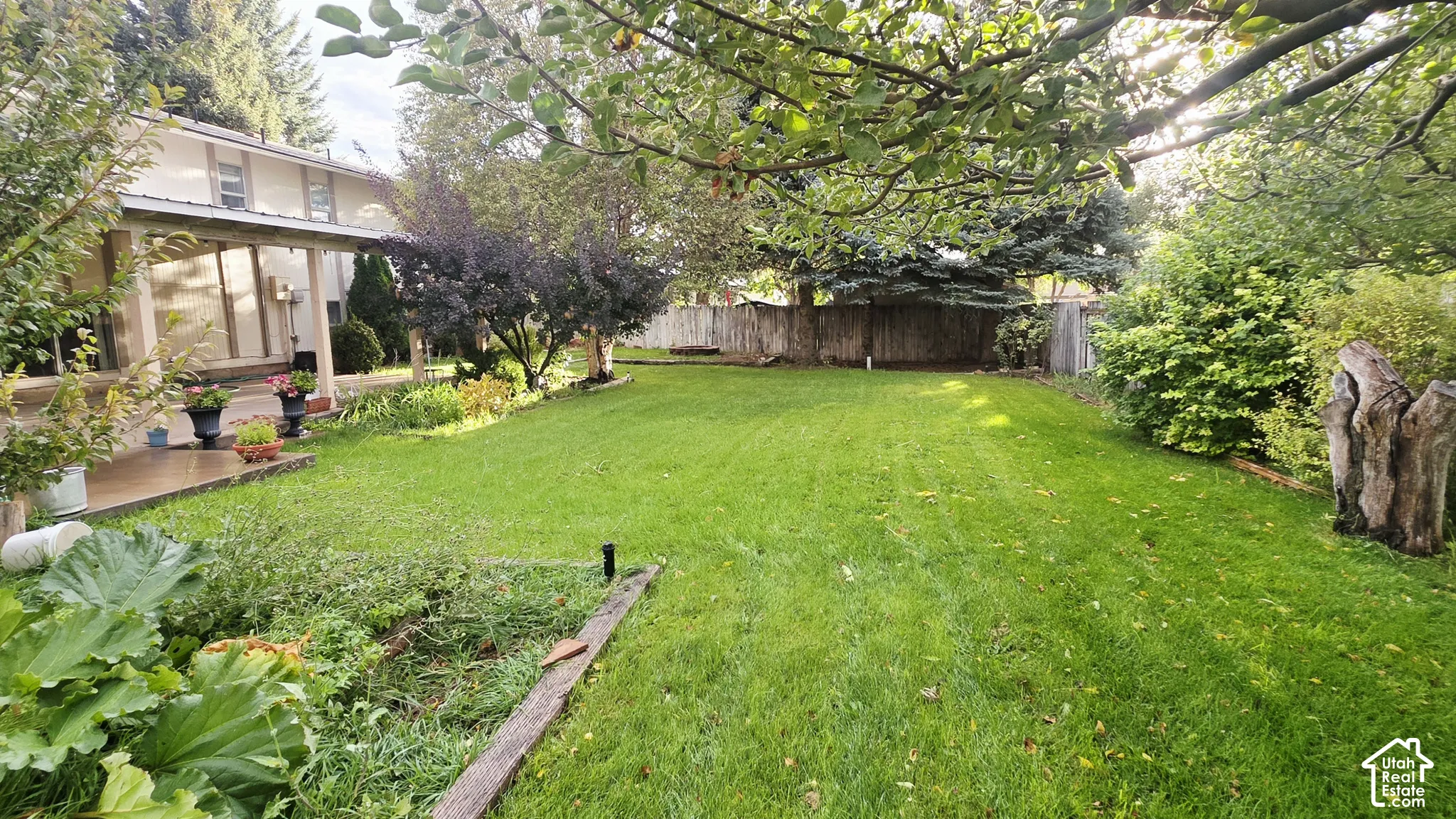 Expansive backyard featuring a manicured lawn, perimeter fencing, mature trees, and a covered patio