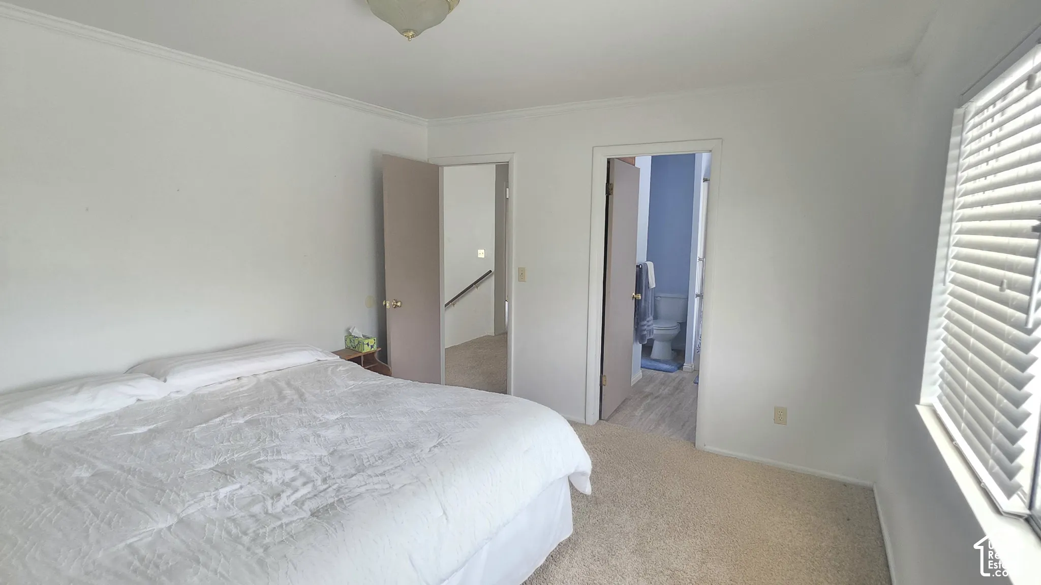 Neutral-toned carpeted flooring, white walls, and horizontal window blinds