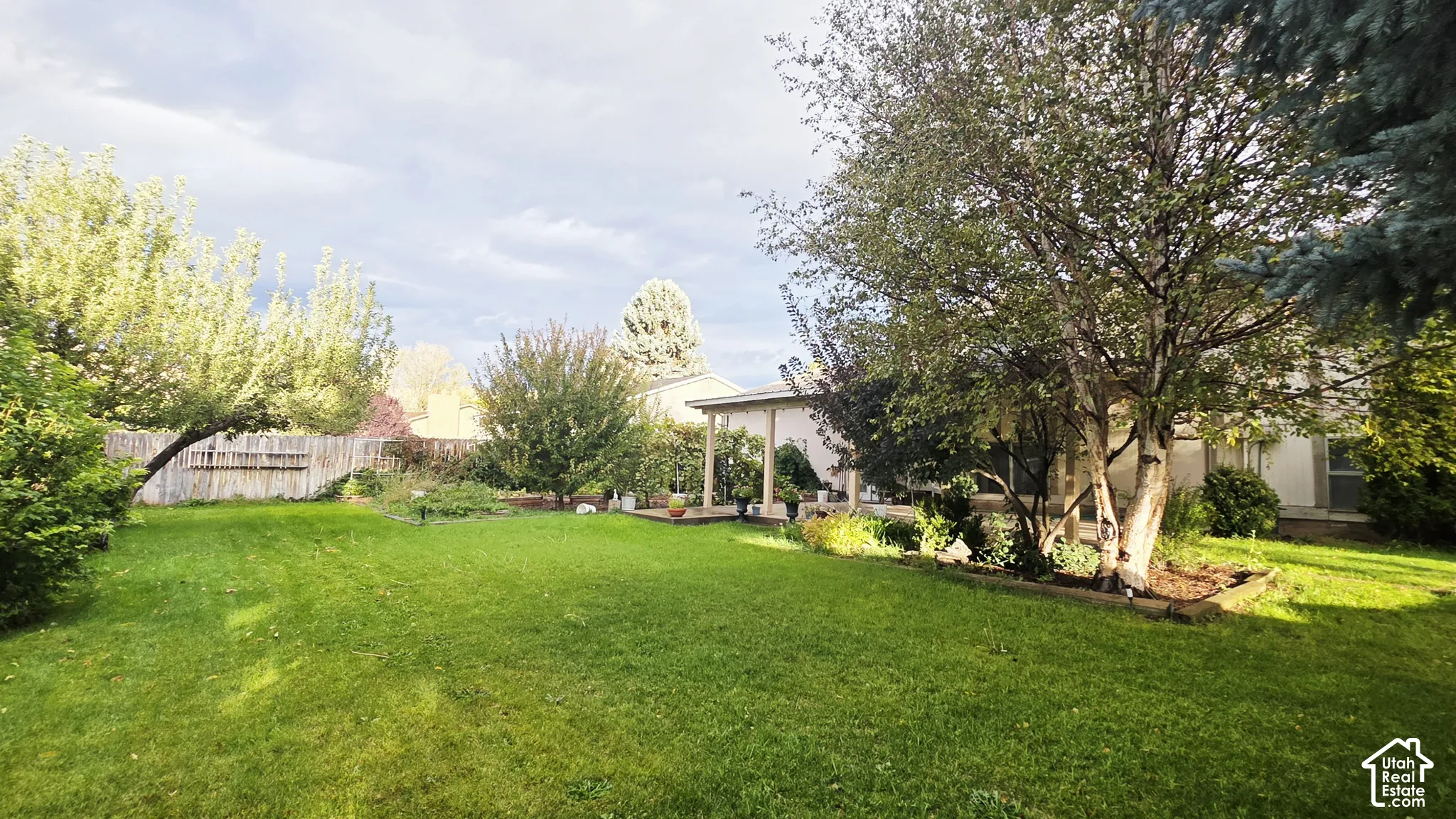 Expansive backyard featuring a large grass lawn, mature trees, wood fence perimeter, and a covered concrete patio
