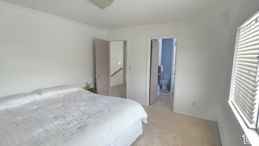 Neutral-toned carpeted flooring, white walls, and horizontal window blinds