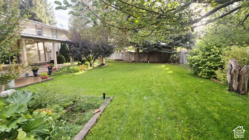 Expansive backyard featuring a manicured lawn, perimeter fencing, mature trees, and a covered patio