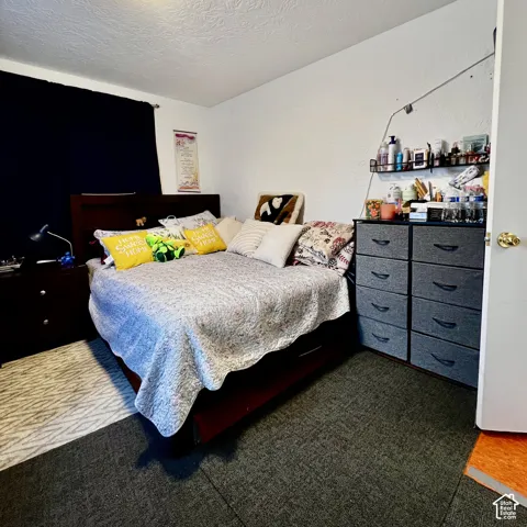 Room featuring textured walls, neutral wall-to-wall carpeting, and a standard swinging door with a brass-finish knob