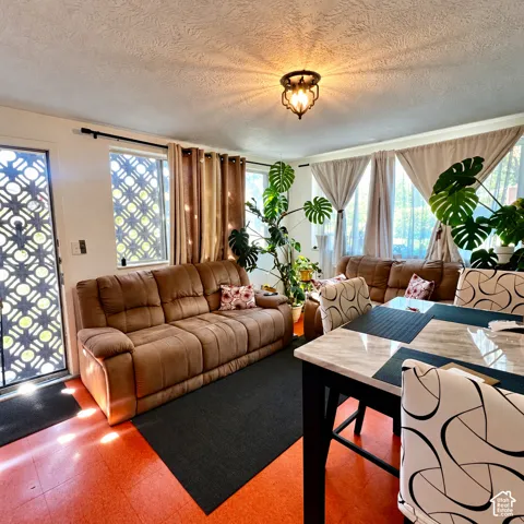 Recessed lighting, patterned security door, windows with decorative grilles, overhead decorative light fixture, and textured ceiling
