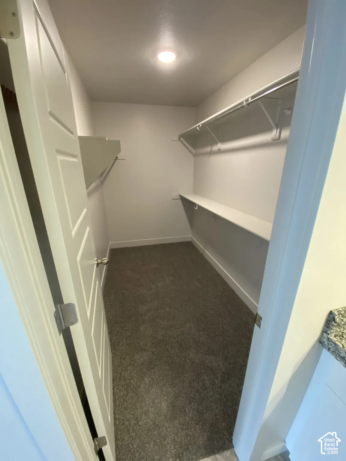 Walk-in closet featuring carpeted flooring, white paneled door, and dual-level built-in shelving