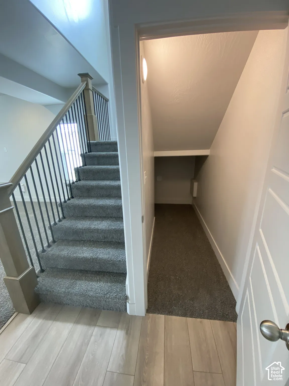 Staircase with carpeted steps and metal railing, featuring wood-finish flooring and under-stair storage area