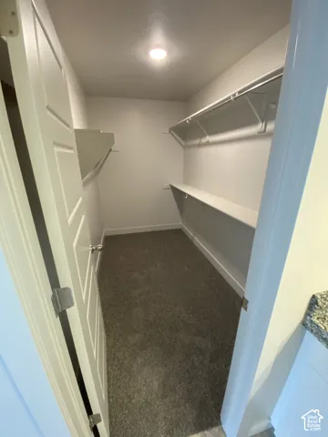 Walk-in closet featuring carpeted flooring, white paneled door, and dual-level built-in shelving