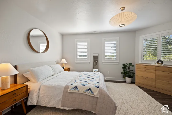 Bright room featuring multiple windows with louvered shutters, wood-finish flooring, and a unique overhead light fixture