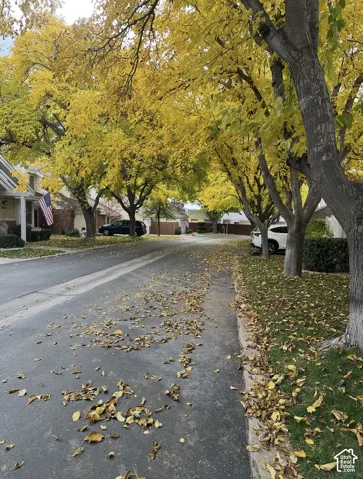 Residential street featuring mature deciduous trees and paved concrete curbing
