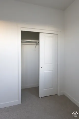 Closet featuring a two-panel sliding door, neutral carpeting, and a built-in metal hanging rod