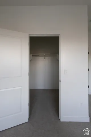 Walk-in closet featuring neutral carpet flooring, an integrated horizontal clothing rod, and a white paneled swing door