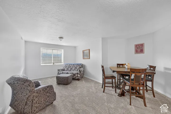 Neutral-toned wall-to-wall carpeting, single-pane window with horizontal blinds, and flush-mount ceiling light fixture