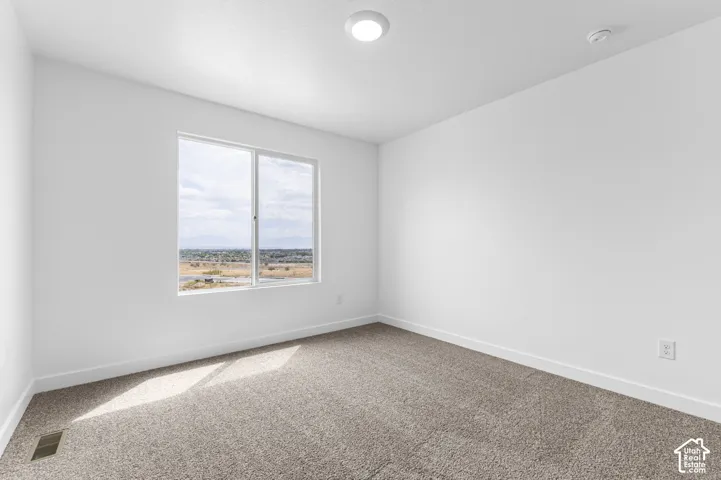Neutral-toned carpeting, crisp white wall finish, flush-mount ceiling lighting, and a large sliding window showcasing distant mountain scenery