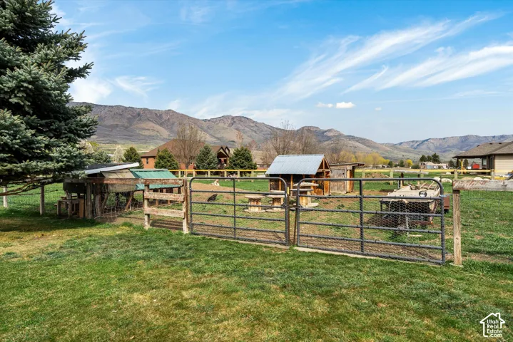 Fenced pasture area featuring metal gates, wooden perimeter fencing, mature evergreen trees, and a mountain backdrop